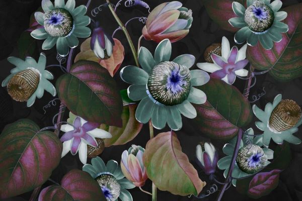 PHOTOWALL / Passiflora (e93047) | 輸入壁紙専門店 WALPA – WALPA.jp