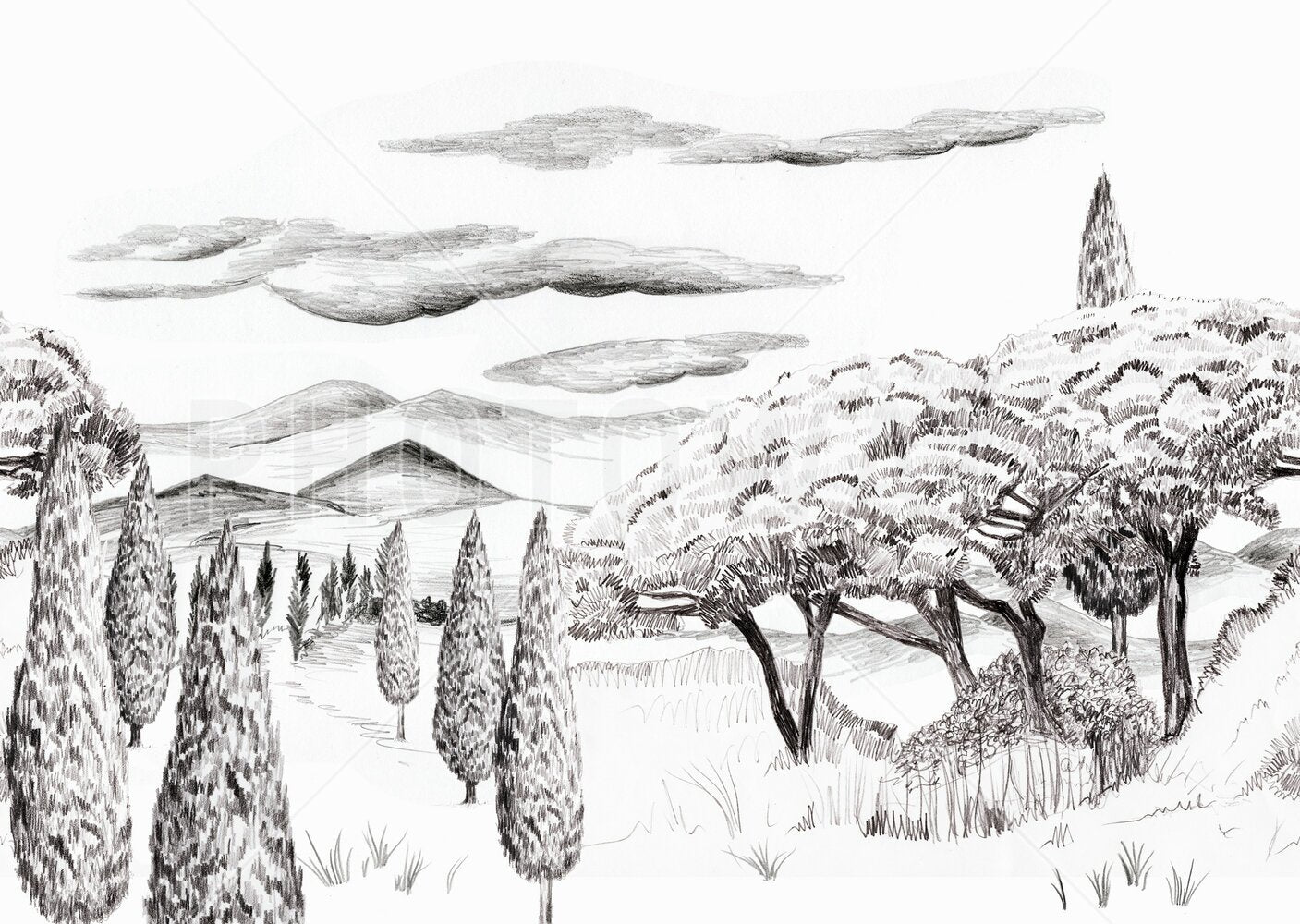 ワルパ 専用 ZX-12R（02-03）用バーハンドルキット