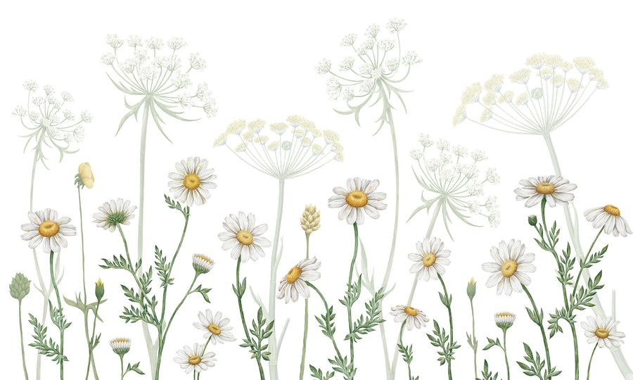 KIKKI BELLE / Dazzling Daisies White W13365