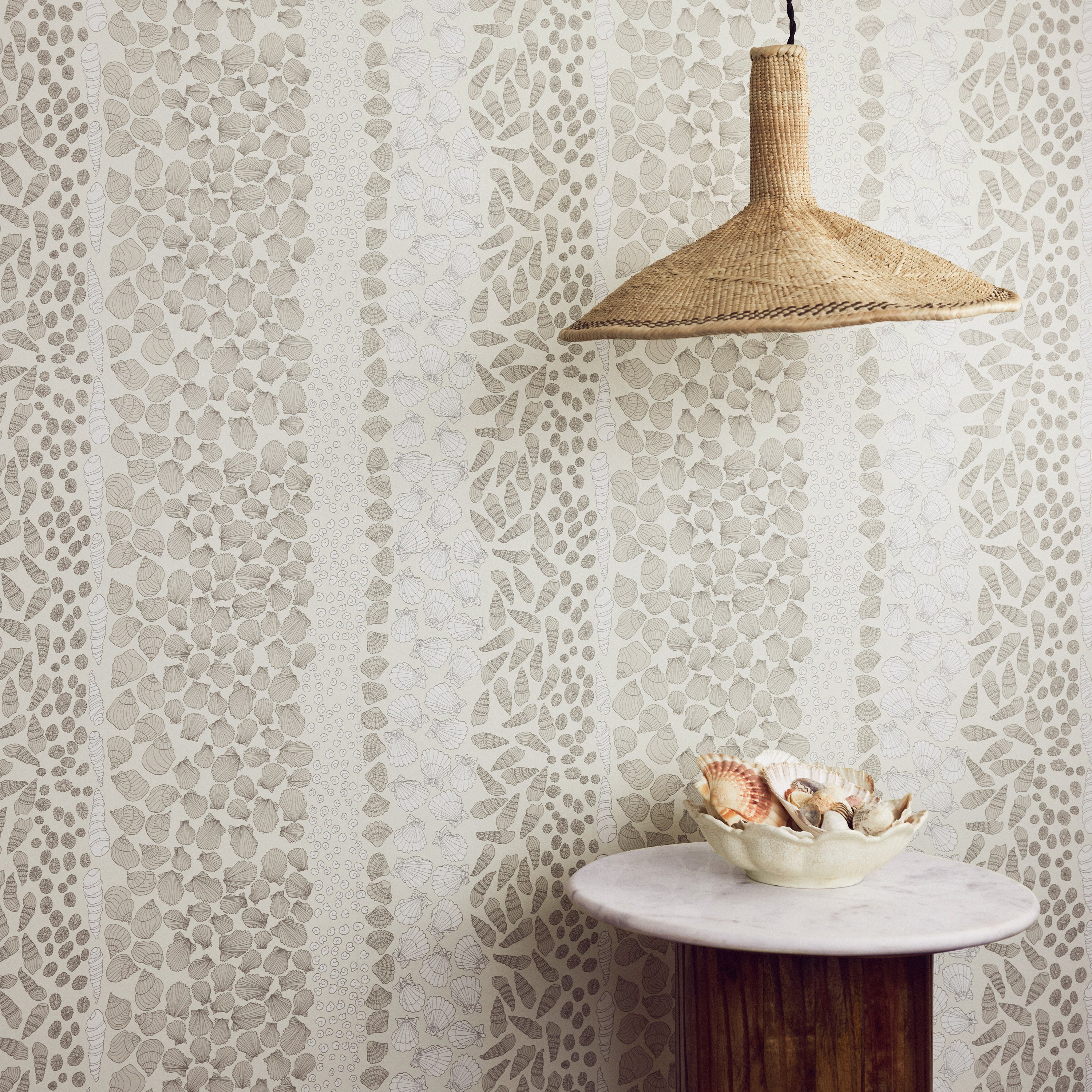 Abigail Edwards / Shells Cockle | 輸入壁紙専門店 WALPA – WALPA.jp