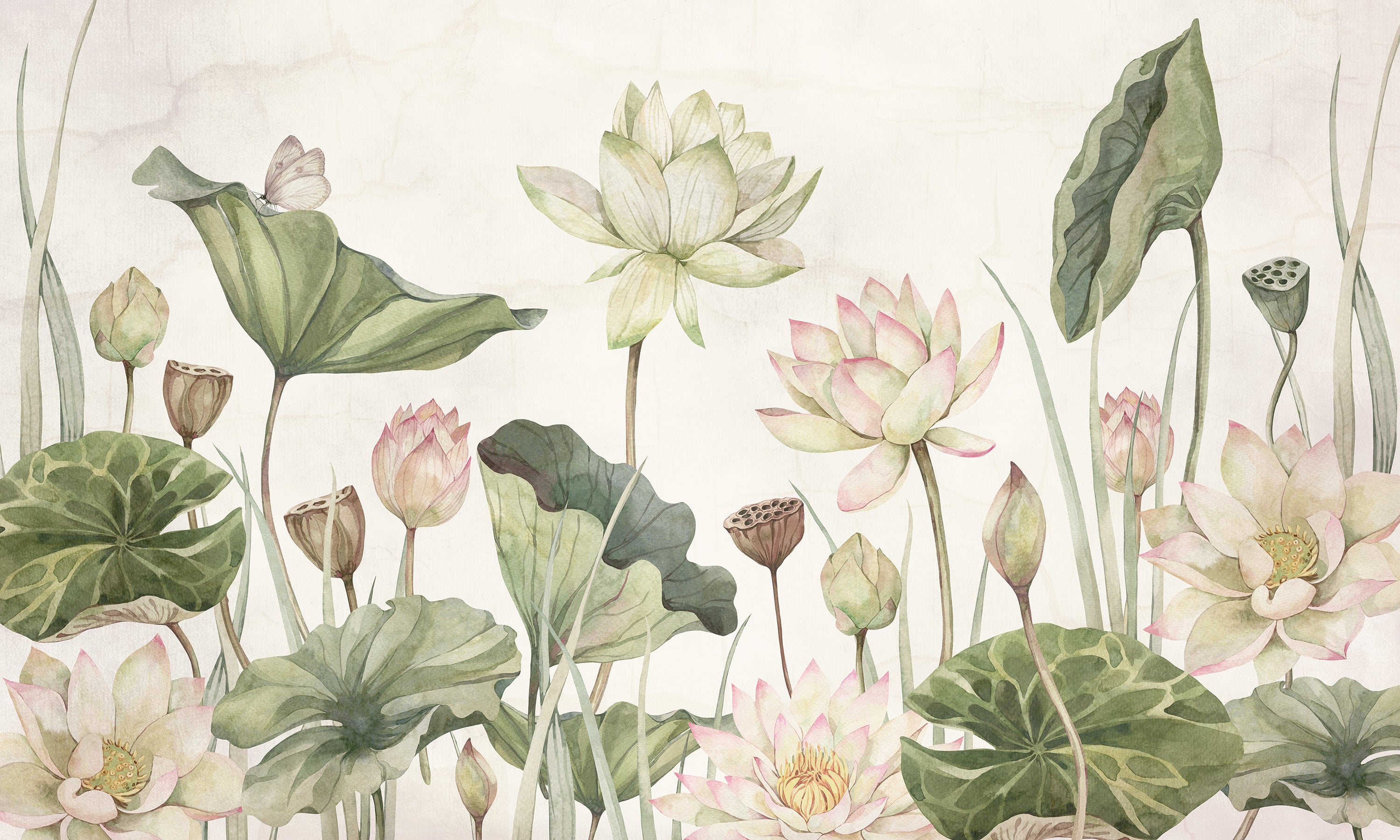 Sir Edward / Lovely Water Lilies W13377 | 輸入壁紙専門店