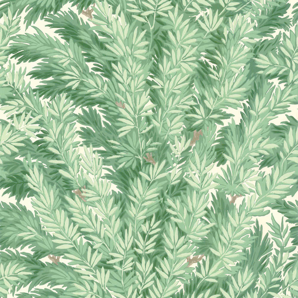Cole&Son / ARCHIVE ANTHOLOGY 100/1002 | 輸入壁紙専門店 WALPA