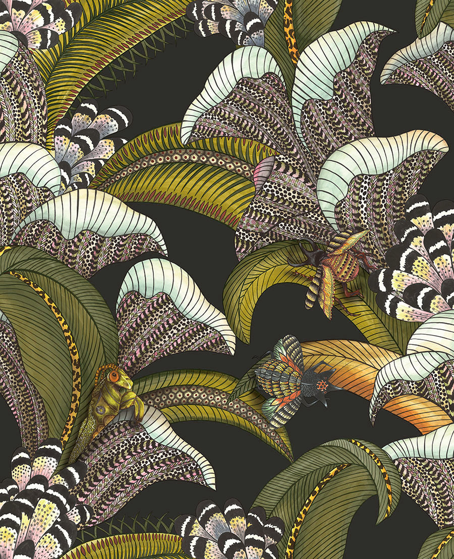 Zoom