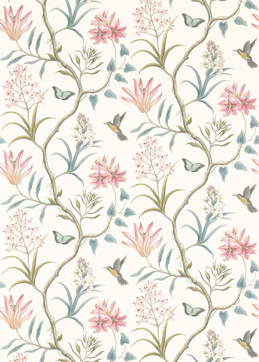 Sanderson / ONE SIXTY WALLPAPER COLLECTION / Clementine Dusky Pink 213386