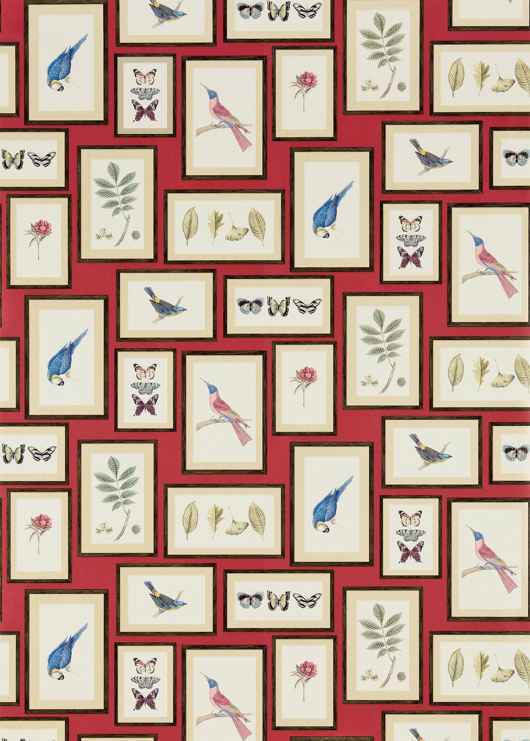 Sanderson / ONE SIXTY WALLPAPER COLLECTION / Picture Gallery Red