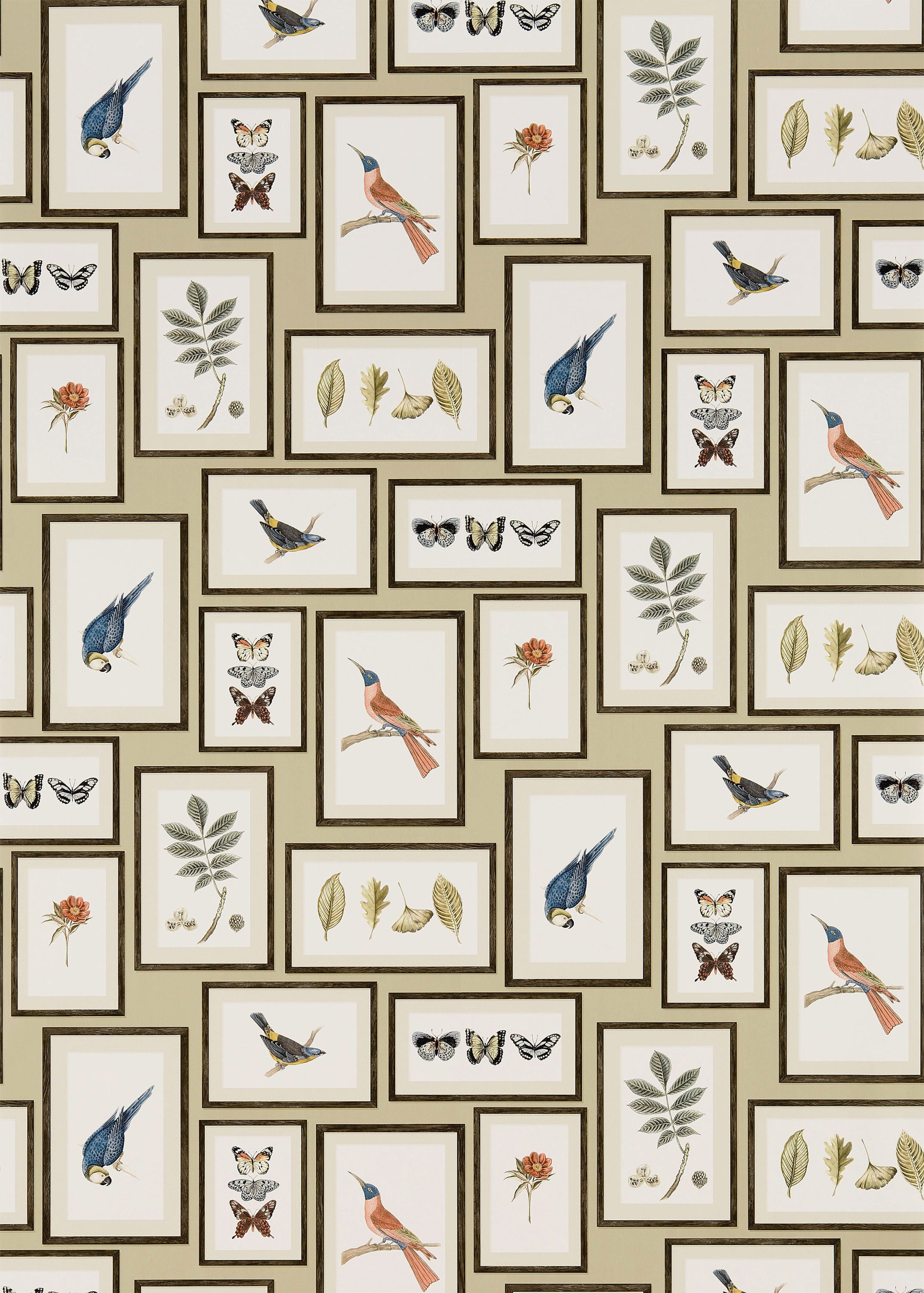payapaya4点 Ticking Stripe Wallpaper - Amazon.com