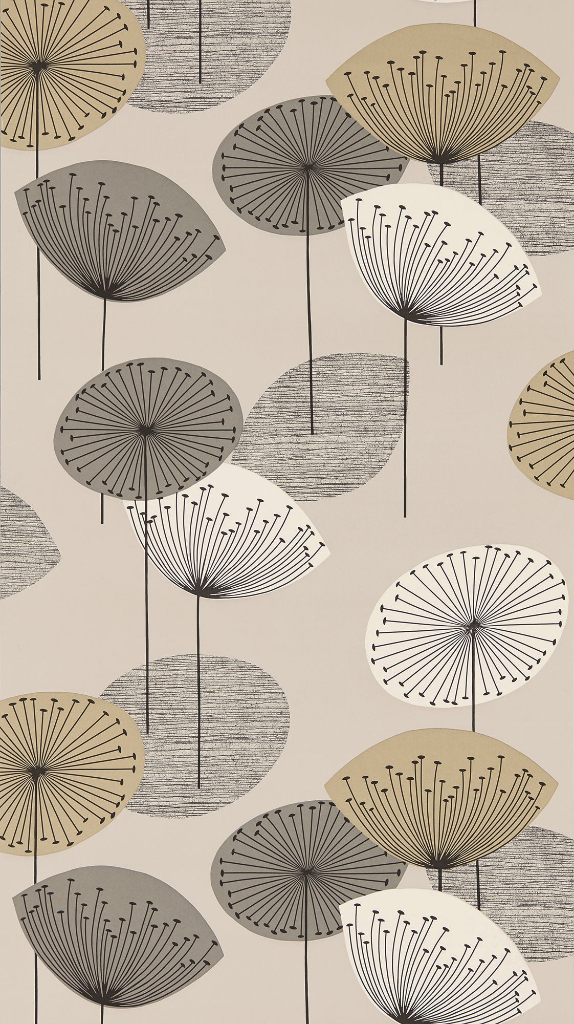 Sanderson / ONE SIXTY WALLPAPER COLLECTION / Dandelion Clocks