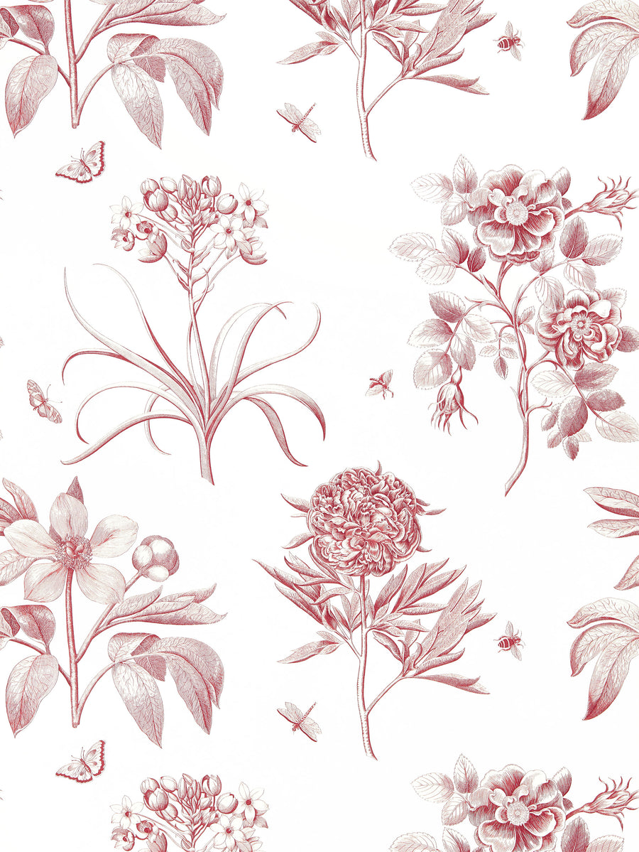 Sanderson / ONE SIXTY WALLPAPER COLLECTION / Etchings & Roses Amanpuri Red 217054