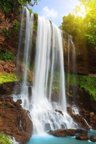 PHOTOWALL / Waterfall in Rain Forest (e19136)