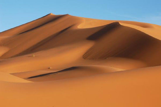PHOTOWALL / Sahara Desert (e19144)