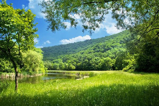 PHOTOWALL / Summer Landscape with River (e19156)