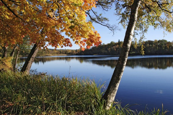 PHOTOWALL / Autumn Lake (e19197)