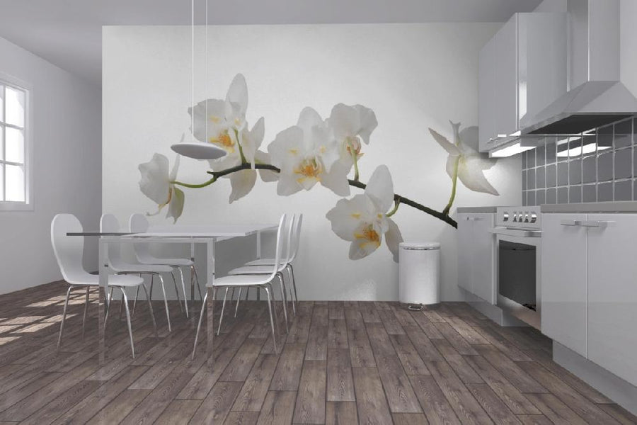 PHOTOWALL / White Orchid Stem (e1954)
