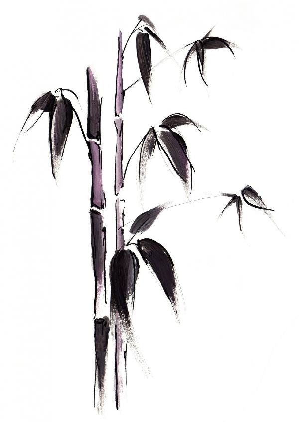 PHOTOWALL / Bamboo Illustration (e6253)