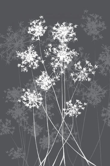 PHOTOWALL / Dandelions - Grey (e6293)