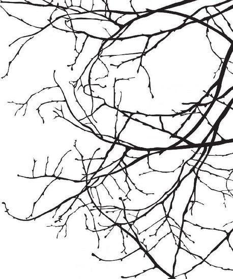 PHOTOWALL / Twiggy - Black (e6296)