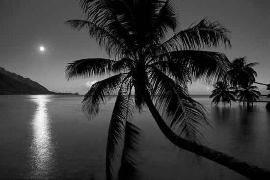 PHOTOWALL / Dream Island - b/w (e6344)