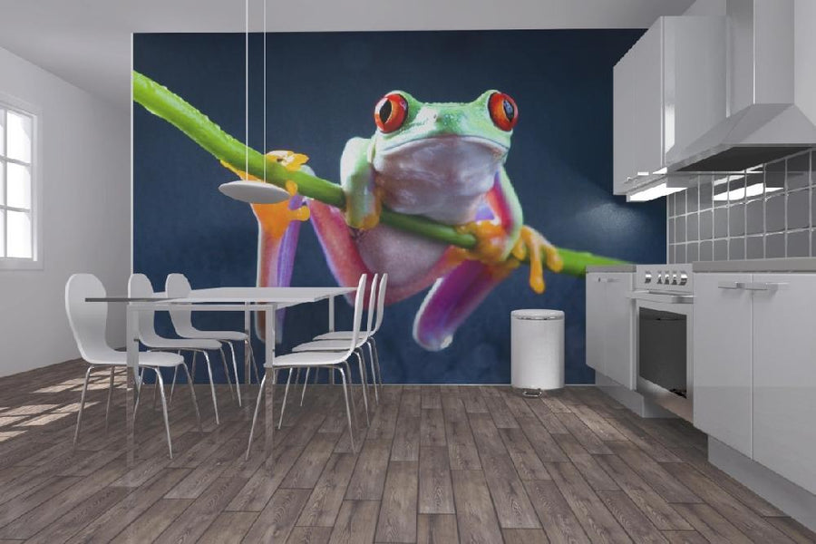 PHOTOWALL / Red frog (e9009)