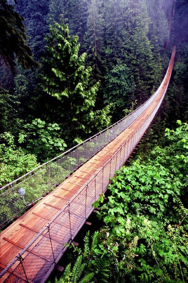 PHOTOWALL / Capilano Bridge (e9047)
