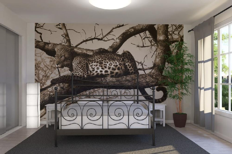 PHOTOWALL / Leopard in Tree - Sepia (e10006)