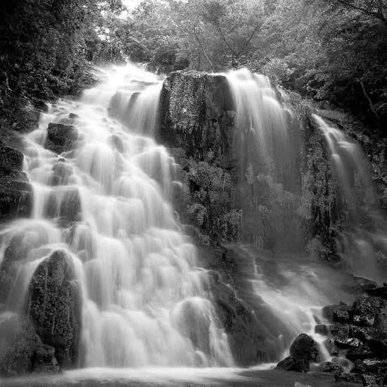 PHOTOWALL / Nature Scenery - b/w (e10023)