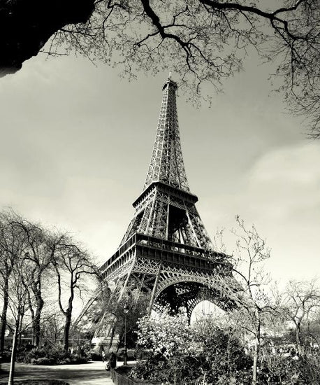 PHOTOWALL / Eiffel Tower (e1430)