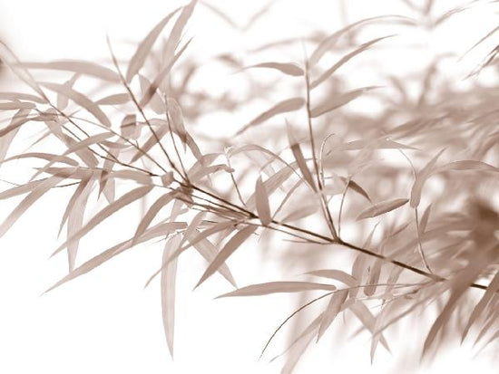 PHOTOWALL / Miniature Bamboo - Sepia (e6189)