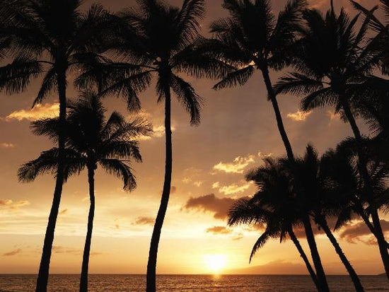PHOTOWALL / Hawaii Sunset (e6203)