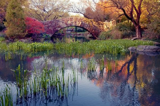 PHOTOWALL / Central Park Stone Bridge (e10163)