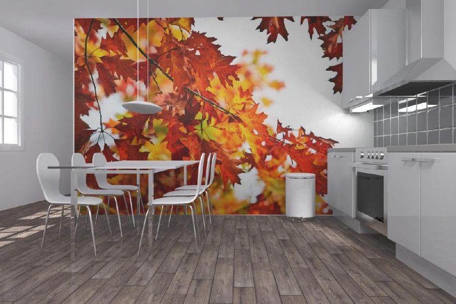 PHOTOWALL / Red and Yellow Leaves (e19357)