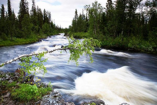 PHOTOWALL / Lapland River (e19436)