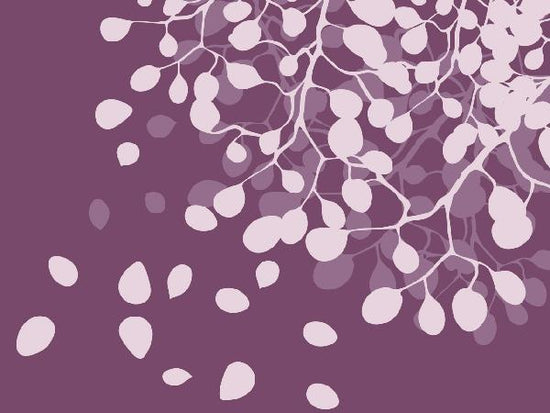 PHOTOWALL / Birch - Plum (e19532)