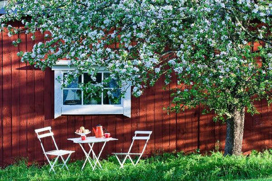 PHOTOWALL / Garden Holiday (e19422)