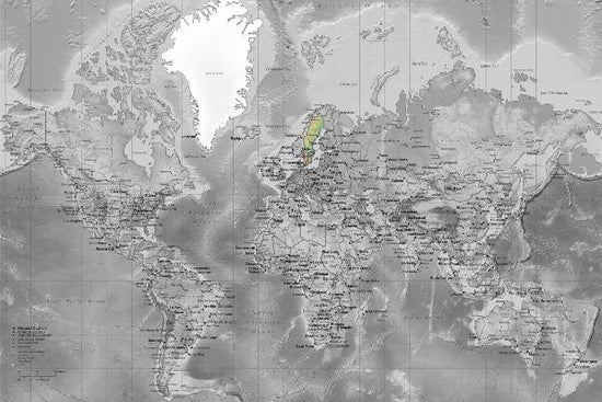 PHOTOWALL / World Map - Detailed Colorsplash (e19711)