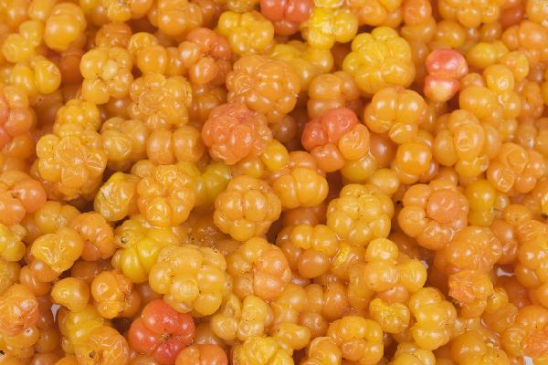 PHOTOWALL / Cloudberry (e19701) | 輸入壁紙専門店 WALPA – WALPA.jp