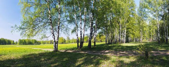 PHOTOWALL / The Countryside (e19839)