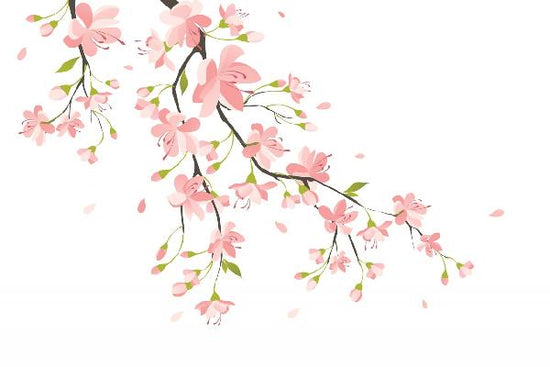 PHOTOWALL / Branch with Pink Flowers (e19852)