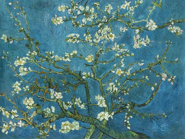 PHOTOWALL / Van Gogh - Almond Blossom (e20035) | 輸入壁紙専門店