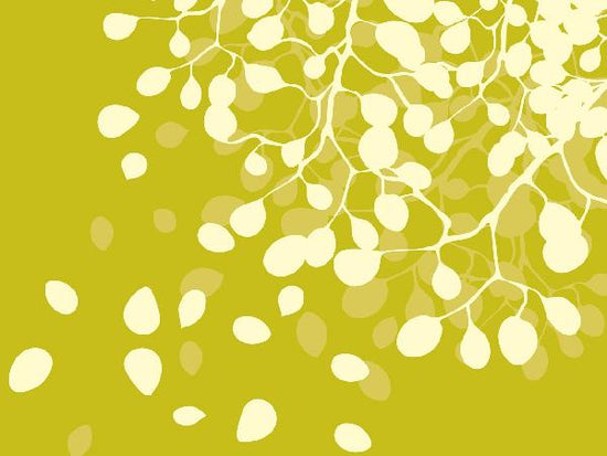 PHOTOWALL / Birch Dirty Yellow (e20166)