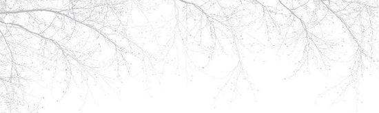 PHOTOWALL / Black Beech - Grey (e20237)