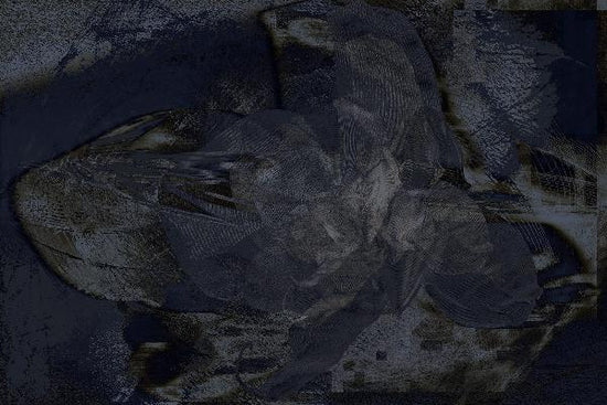 PHOTOWALL / Orchid Chaos - Steel (e20473)