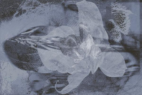 PHOTOWALL / Orchid Chaos - Grey (e20477)