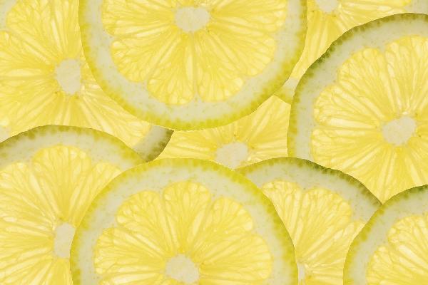 PHOTOWALL / Sliced Lemons (e20754) | 輸入壁紙専門店 WALPA