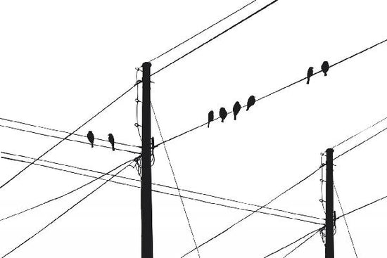 PHOTOWALL / Powerlines - Black (e20985)