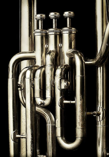 PHOTOWALL / Brass Horn - Tuba (e21333)