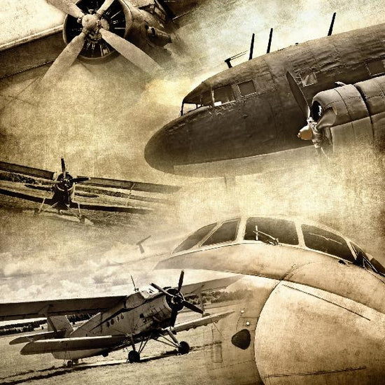 PHOTOWALL / Retro Airplanes (e21360)