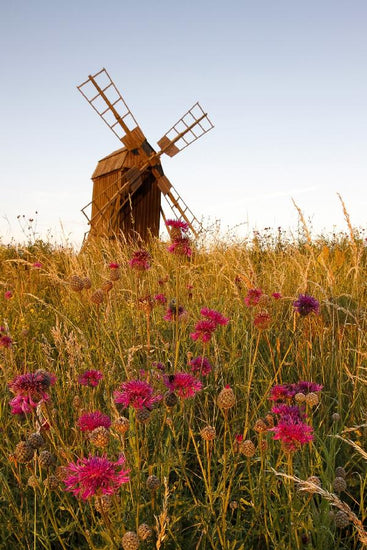 PHOTOWALL / Grainy Windmill (e21464)