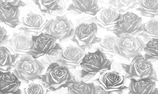 PHOTOWALL / My Grey Roses (e21651)