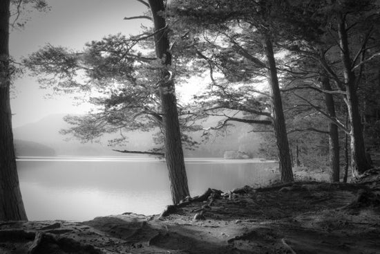 PHOTOWALL / Lake - Grey (e22426)