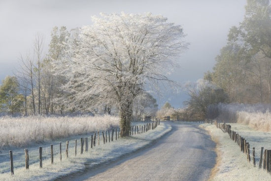 PHOTOWALL / Frosty Morning (e22540)